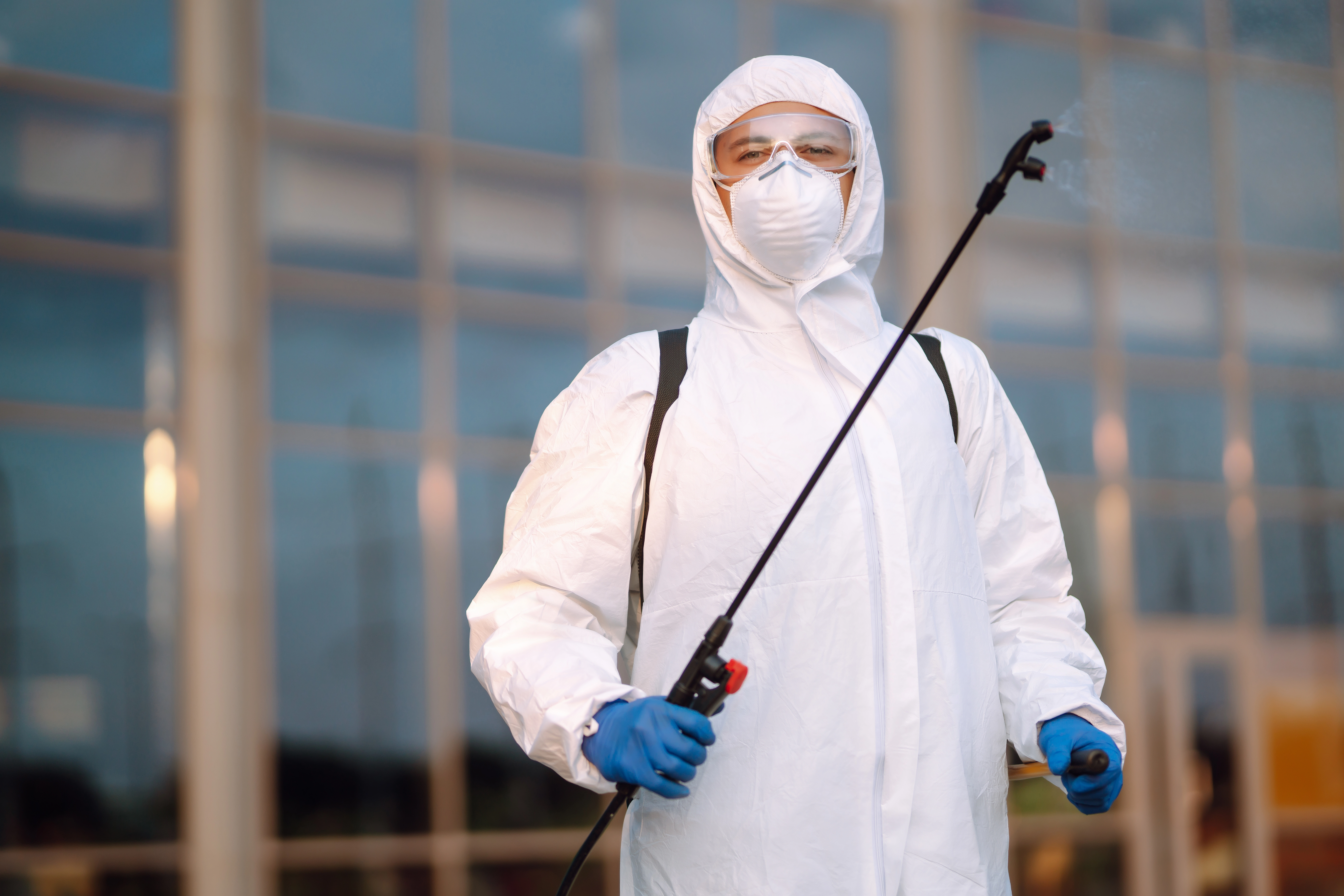 Top in class Pest Control Services Abu Dhabi